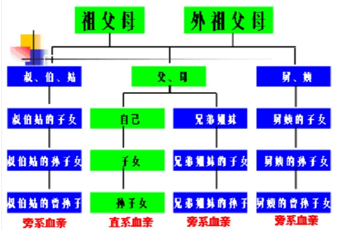 微信截图_20250309191759